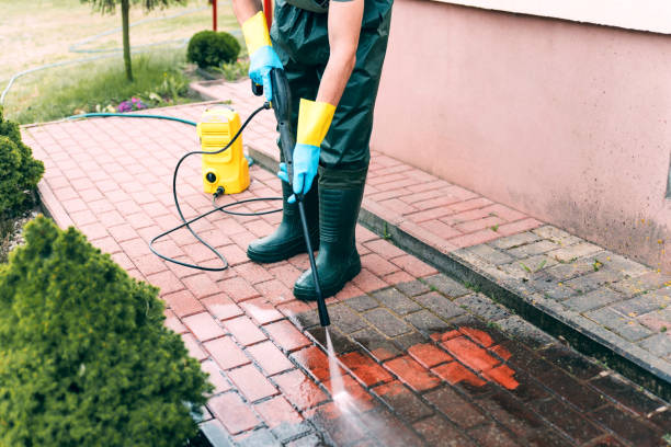 Best Concrete Surface Cleaning in Young Harris, GA