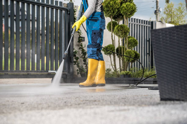 Best Window and Screen Pressure Cleaning in Young Harris, GA